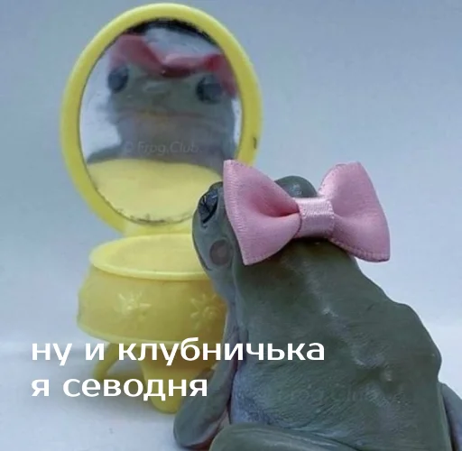 Sticker izbafrogs - 1