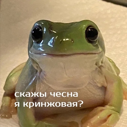 Sticker Легущьки «Горящей избы» 🐸🔥 - 8