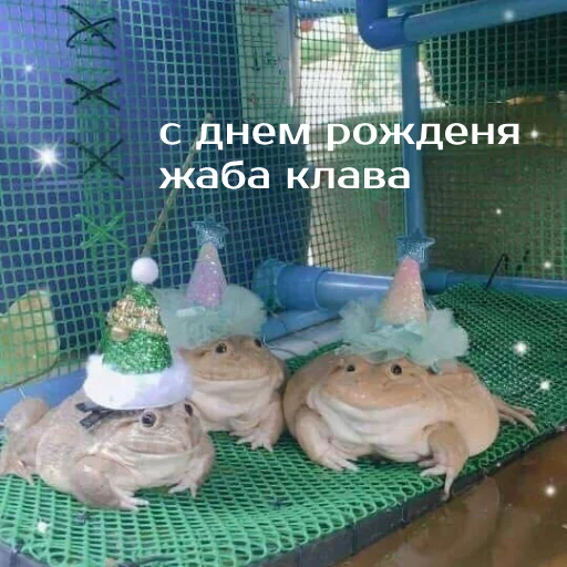 Sticker Легущьки «Горящей избы» 🐸🔥 - 5