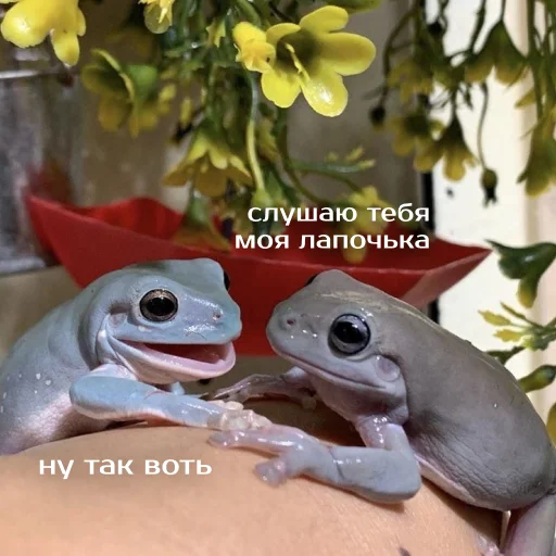 Sticker Легущьки «Горящей избы» 🐸🔥 - 3