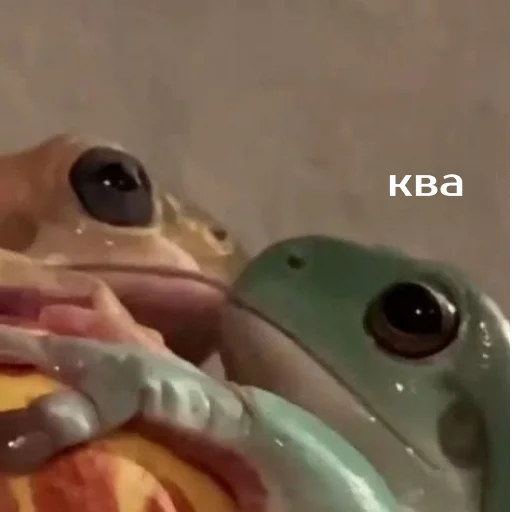 Sticker Легущьки «Горящей избы» 🐸🔥 - 1