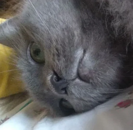 Sticker клизма - 10