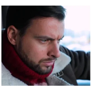 Человек человеческое лицо человеческая борода