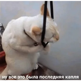 Стикер да ты юморист - 5