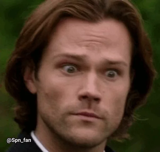 человеческое лицо Человек бровь