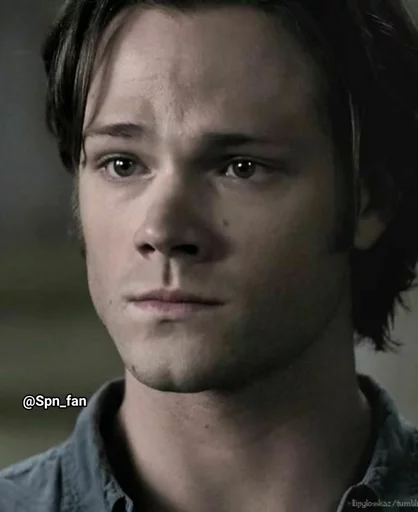 Человек человеческое лицо портрет