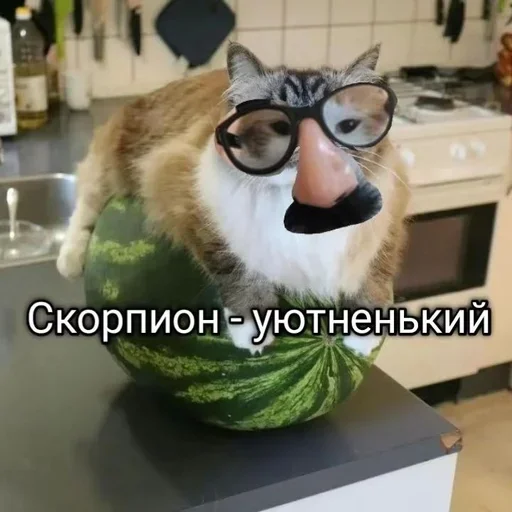 Sticker jHQfxcbfN_by_stickers_stealer_bot - 1