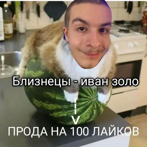 Sticker jHQfxcbfN_by_stickers_stealer_bot - 1