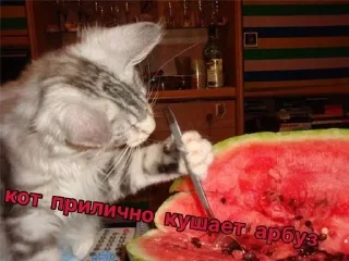 Стикер Больше стикеров 👉🏻 @stickertg4 - 5