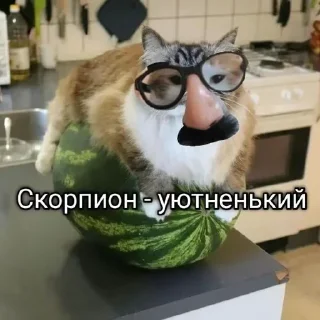 Стикер Больше стикеров 👉🏻 @stickertg4 - 11