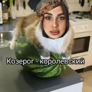 Стикер Больше стикеров 👉🏻 @stickertg4 - 3