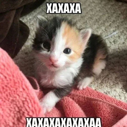 Sticker jQNZinYqMluo_by_stickers_stealer_bot - 1