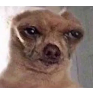 Стикер Больше стикеров 👉🏻 @stickertg4 - 4