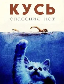 Стикер Больше стикеров 👉🏻 @stickertg4 - 4