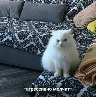 Стикер Больше стиков тут: @stikery4 - 7