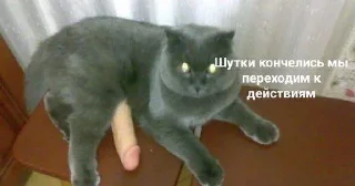 Стикер стикеры имени лизы клинской • @sticbot - 3