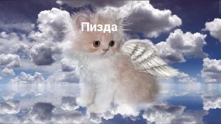 Стикер стикеры имени лизы клинской • @sticbot - 5