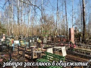 Стикер стикеры имени лизы клинской • @sticbot - 2