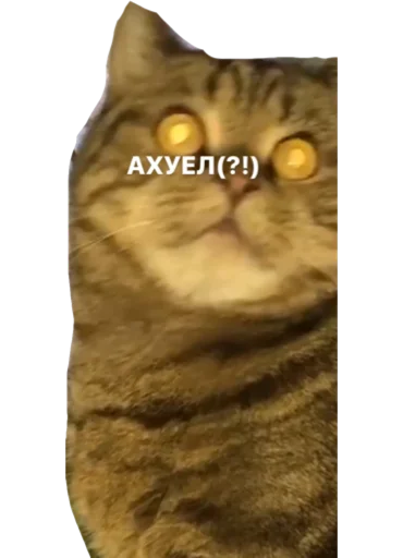 Стикер богема - 5