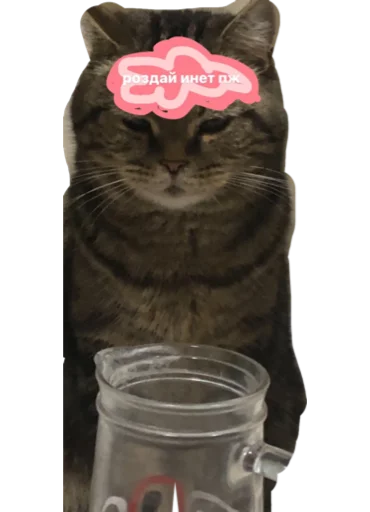 Стикер богема - 2