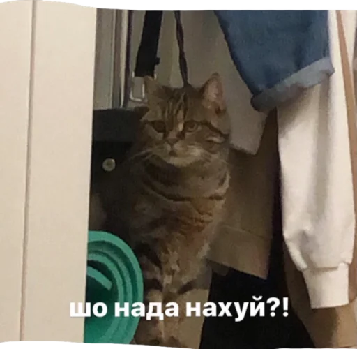 Стикер богема - 0