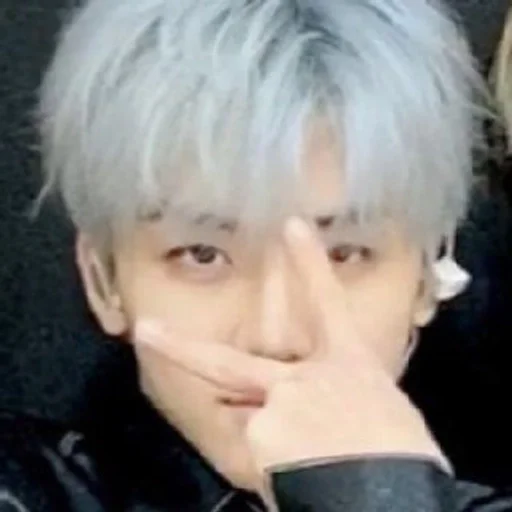 person human face hairpiece