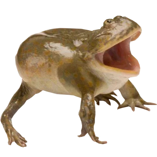 животное фигура животного