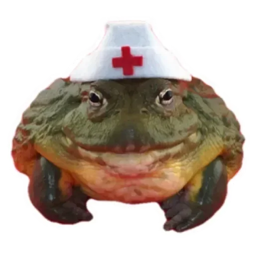 лягушка животное искусство