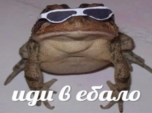 животное лягушка амфибия