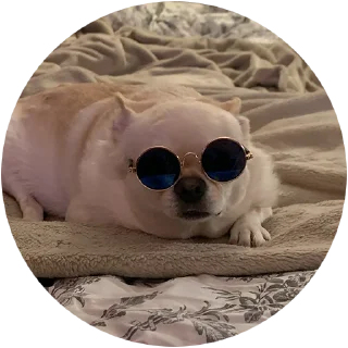 Sticker Джеки Чан - 4