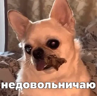 Sticker Джеки Чан - 7