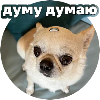 Sticker Джеки Чан - 8