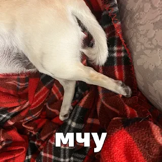 Sticker Джеки Чан - 3