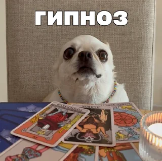 Sticker Джеки Чан - 2