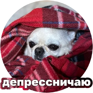 Sticker Джеки Чан - 10