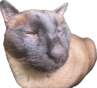 Sticker живность - 5