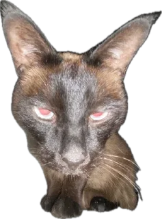 Sticker живность - 2