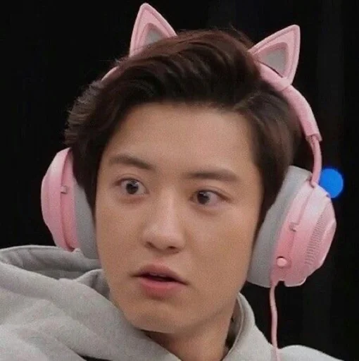 Sticker @loeylews гавкошмыг - 5