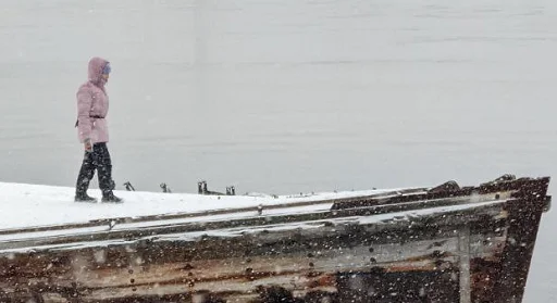 Sticker jane_pup - 1