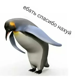 Sticker @s_paretskaya не договорила - 11