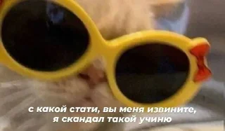 Sticker @s_paretskaya не договорила - 7