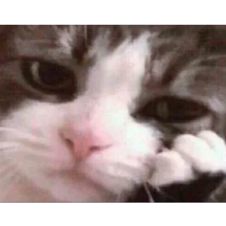 Sticker @s_paretskaya не договорила - 2