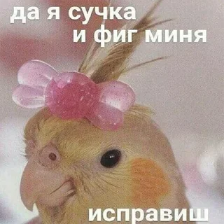 Sticker @s_paretskaya не договорила - 1