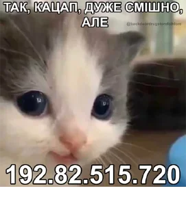 Sticker backdoor drugstore folklore pack - 9