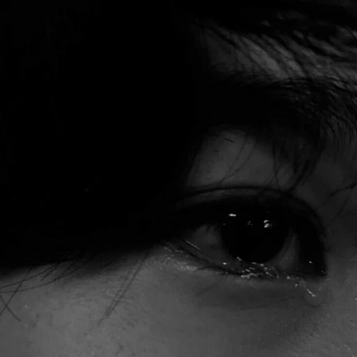 черно-белый взор Макросъемка