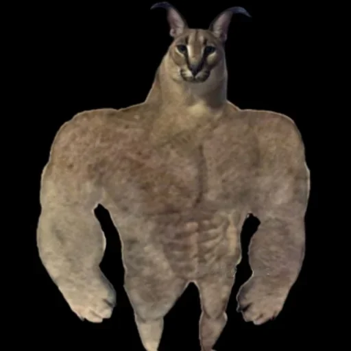 Sticker jcEhxRNQtS_by_stickers_stealer_bot - 1