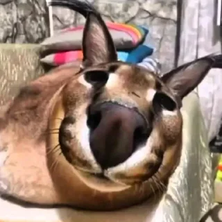 Sticker Больше стикеров: @sticerru - 3