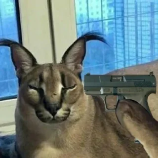 Sticker Больше стикеров: @sticerru - 6