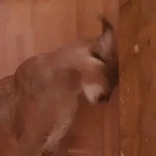 Sticker Больше стикеров: @sticerru - 4