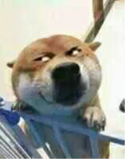 млекопитающее животное на открытом воздухе